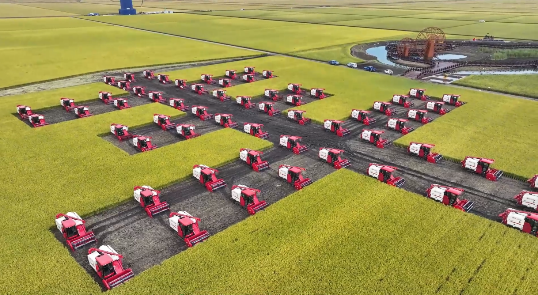 LOVOL Smart Agriculture: Driving Global Farming Efficiency and Sustainability